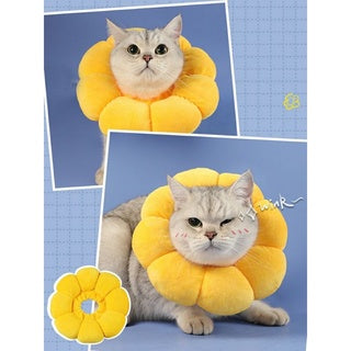 PetTime pet protective collar anti-bite in soft material, designed to prevent pets from biting or scratching.