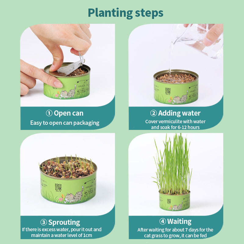 PetTime natural soil-less cat grass treats in a clear container, showing fresh green cat grass for healthy feline snacking.