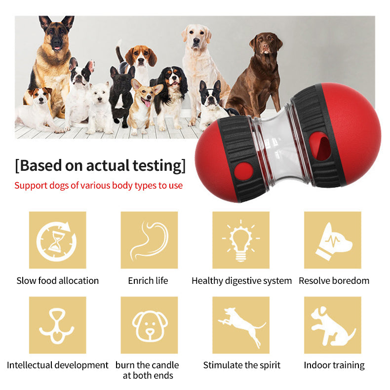 PetTime rolling food training dog toy with adjustable compartments for treats, designed to engage and challenge dogs during play.