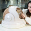 PetTime cat portable space capsule showing a compact, cozy travel carrier for cats with transparent dome and secure entrance.