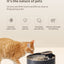 PetTime intelligent pet water dispenser with a transparent water reservoir and modern design for easy hydration.