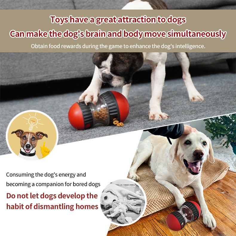 PetTime rolling food training dog toy with compartments for treats, designed to engage and challenge your dog during playtime.