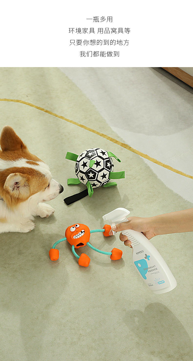 PetTime pet disinfection spray bottle with nozzle for sanitizing pet surfaces and accessories.