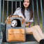 Large-capacity portable pet backpack by PetTime with reflective strips for safety, designed for comfortable travel with pets.