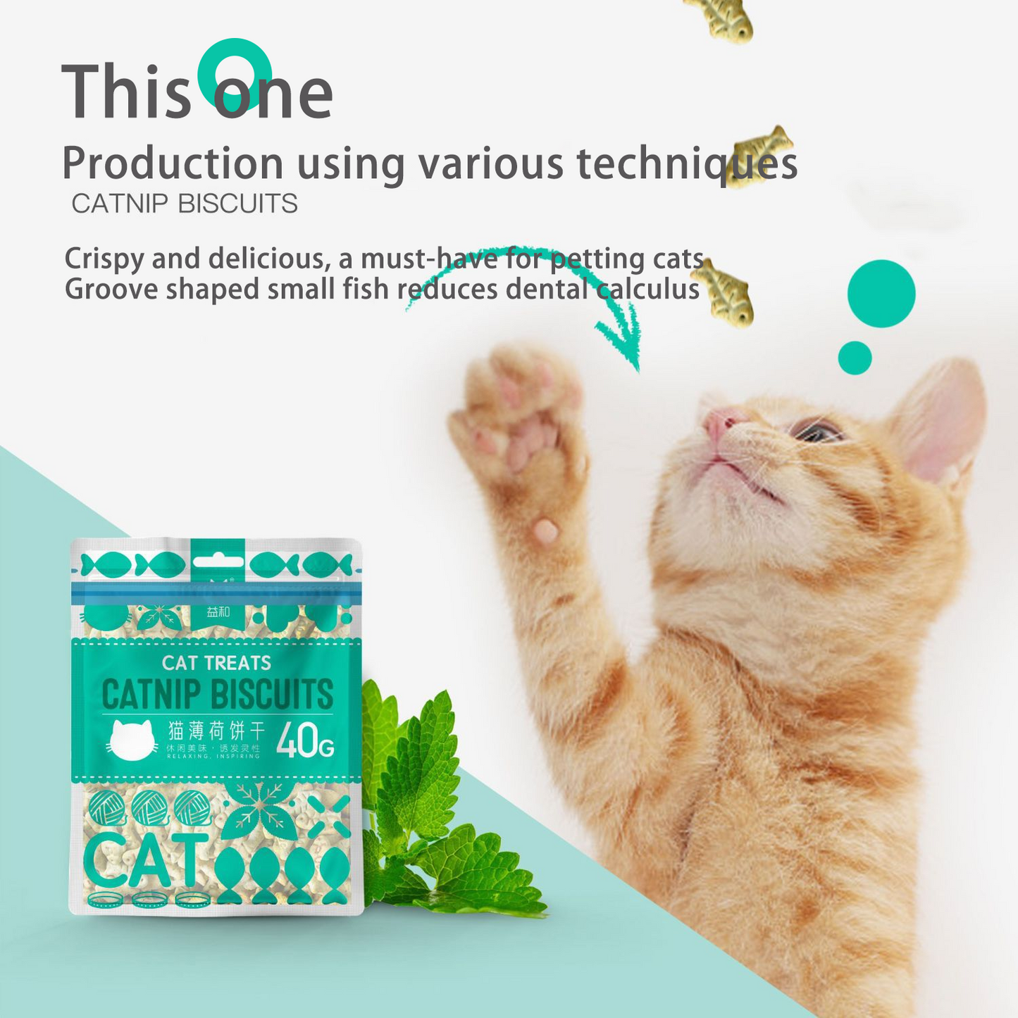 PetTime catnip snack cookies and biscuits for cats, showing crispy treats with visible catnip pieces.