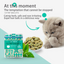 PetTime catnip snack cookies and biscuits for cats, showing crunchy treats with visible catnip herbs inside.