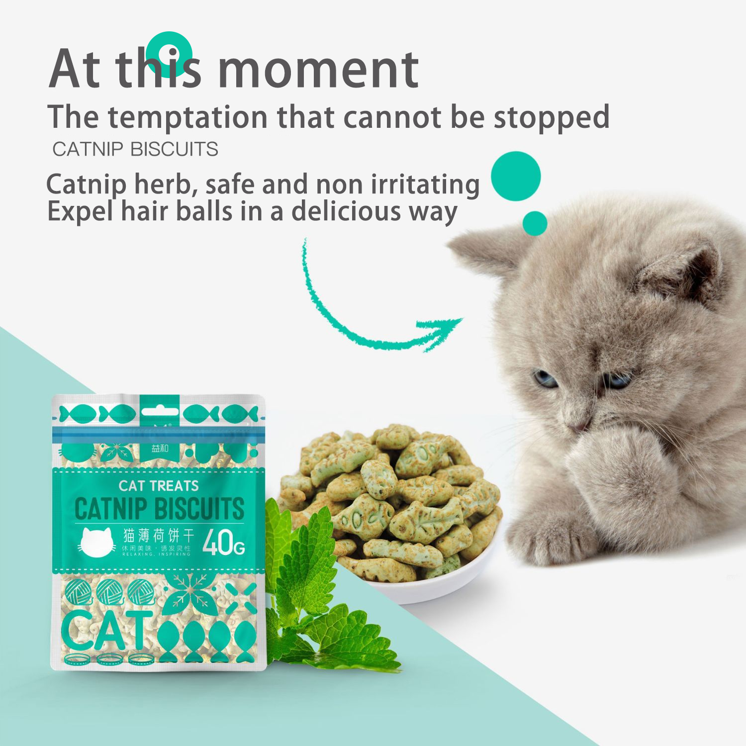 PetTime catnip snack cookies and biscuits for cats, showing crunchy treats with visible catnip herbs inside.