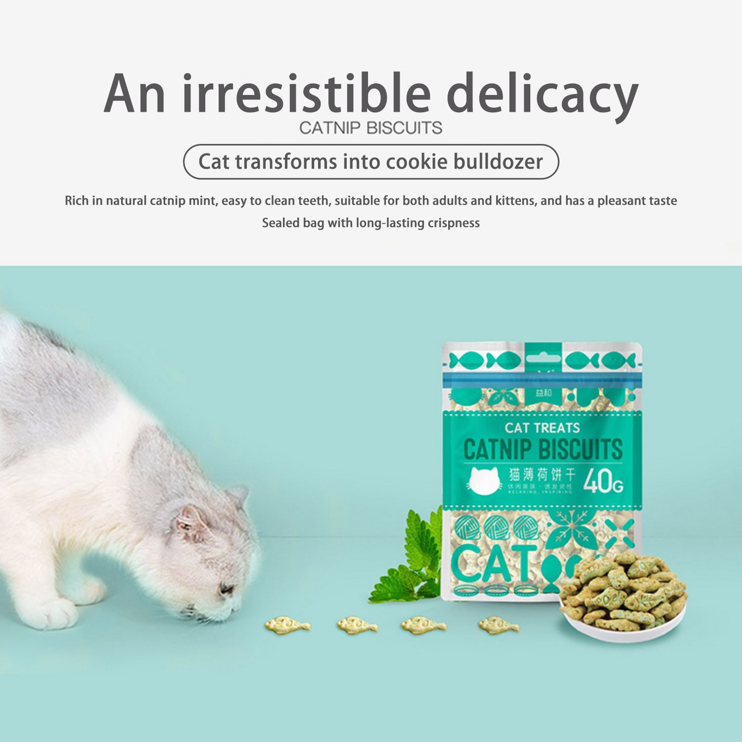 PetTime catnip snack cookies and biscuits for cats, showing crispy treats with catnip flavor in a close-up image.