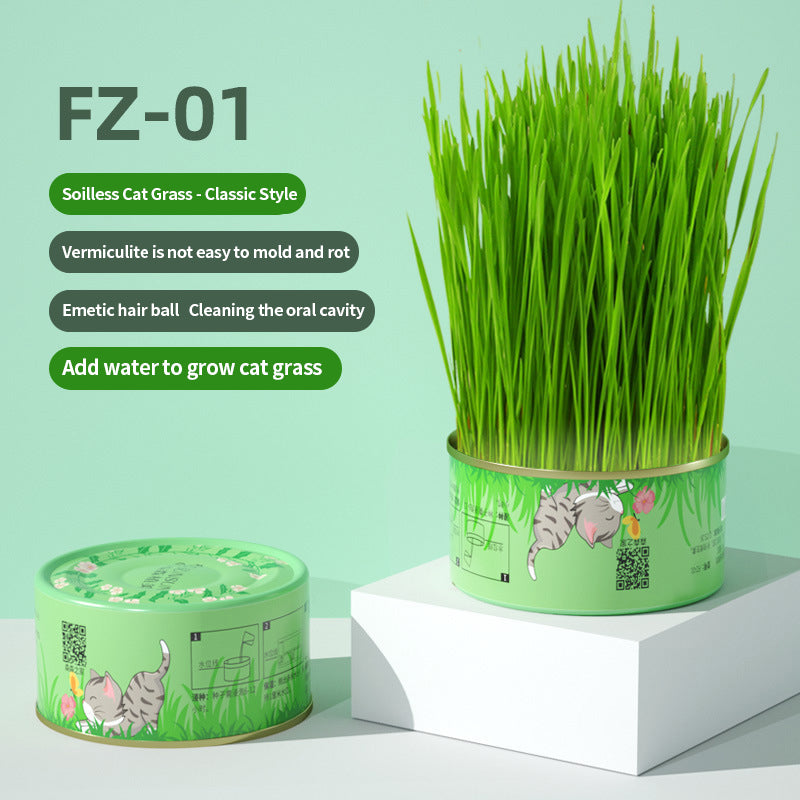 PetTime natural soil-less cat grass treats in a clear container, showcasing fresh green cat grass for healthy feline snacking.