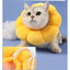 PetTime pet protective collar anti-bite preventing pets from biting or licking, adjustable and comfortable for pets.