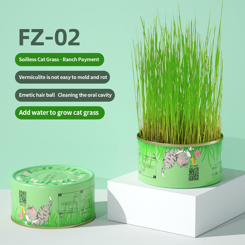 PetTime natural soil-less cat grass treats in a clear container, showcasing fresh green grass for cats.