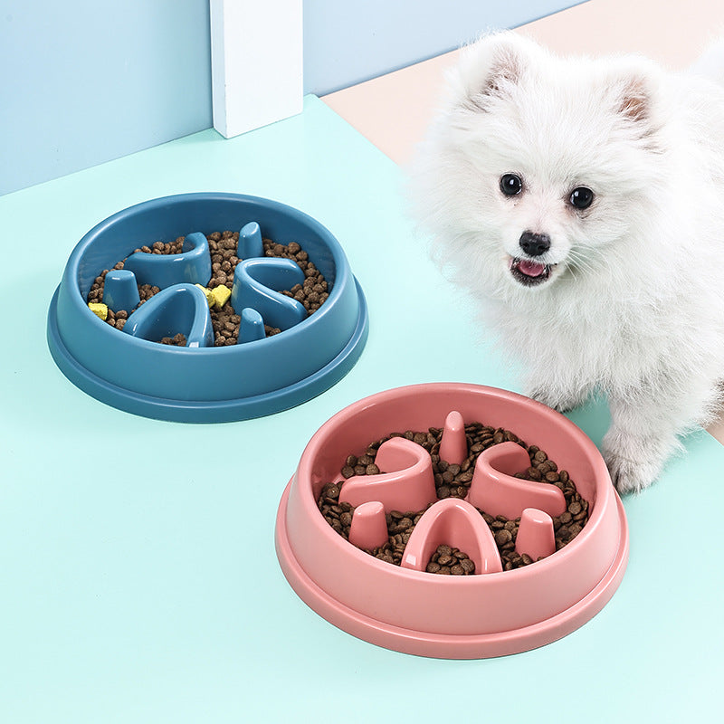 PetTime slow eating anti-slip pet food bowl with raised edges and non-slip bottom designed to prevent overeating and spills.