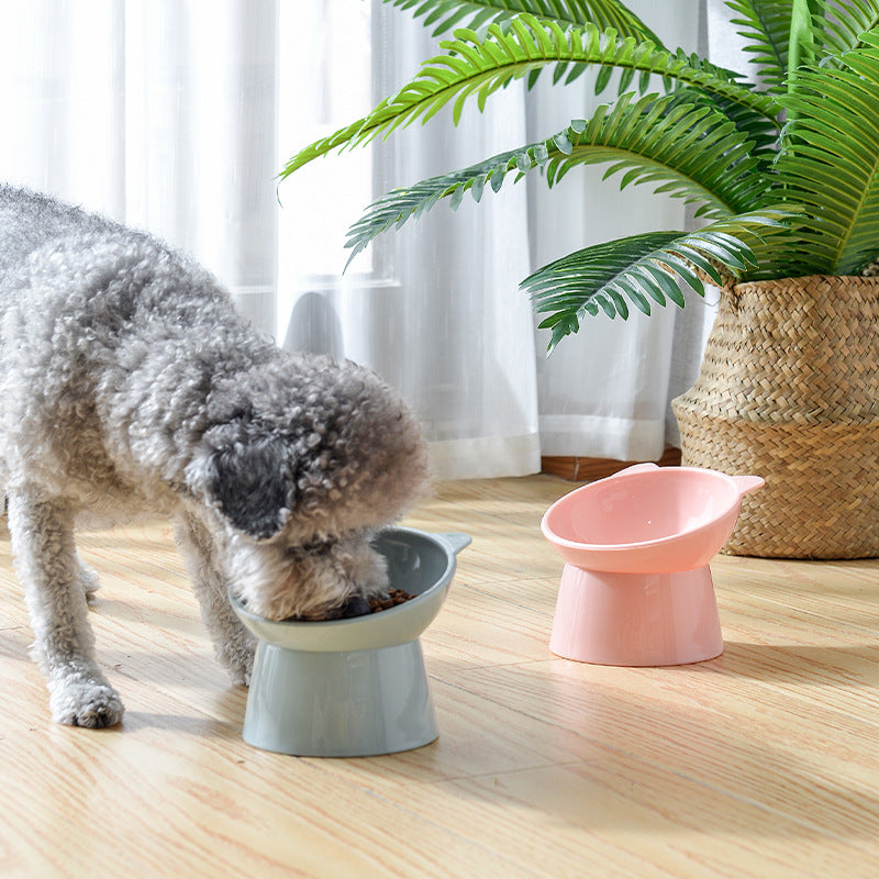PetTime high feet cat and dog bowl with elevated design, ceramic surface, and sturdy stand for comfortable feeding.