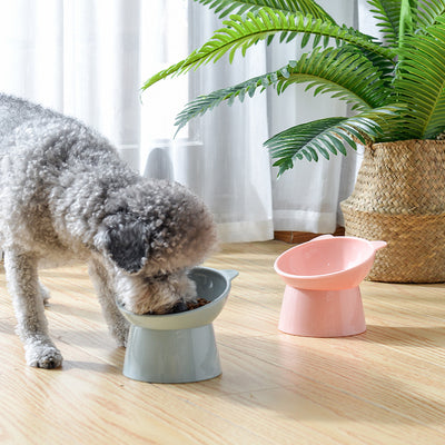 PetTime high feet cat and dog bowl with elevated design, ceramic surface, and sturdy stand for comfortable feeding.