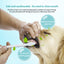 PetTime Pet Toothpaste and Toothbrush Set with toothbrush and toothpaste tube for pets' dental care.