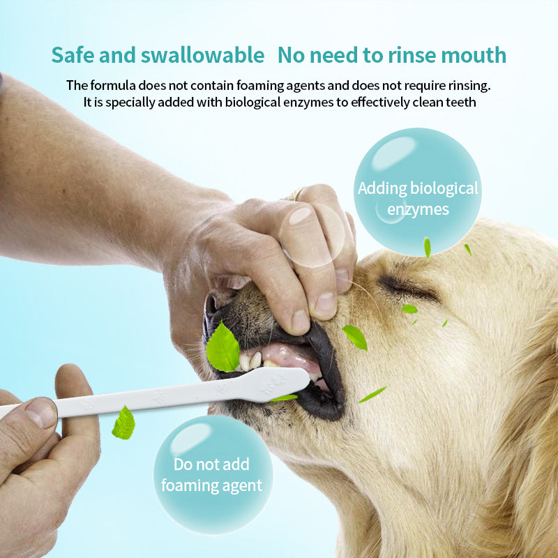 PetTime Pet Toothpaste and Toothbrush Set with toothbrush and toothpaste tube for pets' dental care.