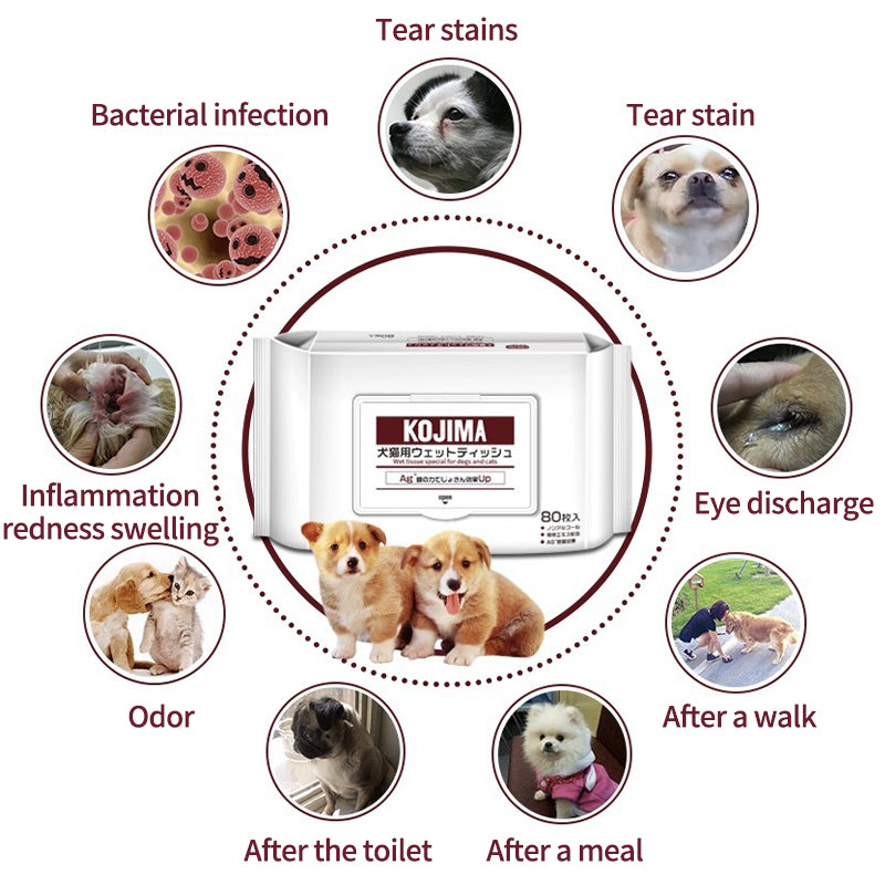 PetTime KOJIMA alcohol-free pet wipes showing soft, moist wipes with pet fur and paws in a clean, hygienic setting.
