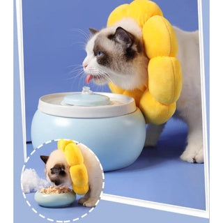 PetTime pet protective collar designed to prevent biting, shown in a close-up image with adjustable strap and soft padding.