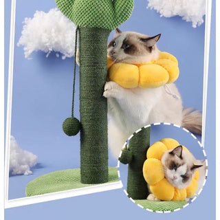 PetTime pet protective collar, anti-bite collar for pets, adjustable nylon collar with soft padding for comfort and safety.