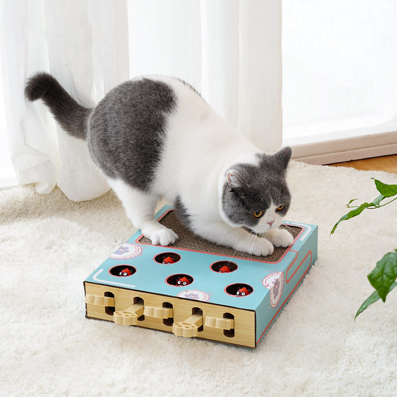PetTime cat groundhog toy with plush and squeaky features, designed to entertain cats and encourage play.