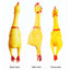 PetTime dog squeaky chew toy with colorful fabric and squeaker, designed for playful and durable dog chewing fun.