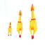 PetTime dog squeaky chew toy with a colorful, durable design suitable for active dogs to chew and play.
