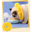 PetTime pet protective collar designed to prevent biting, shown in a close-up image highlighting its durable, adjustable design.