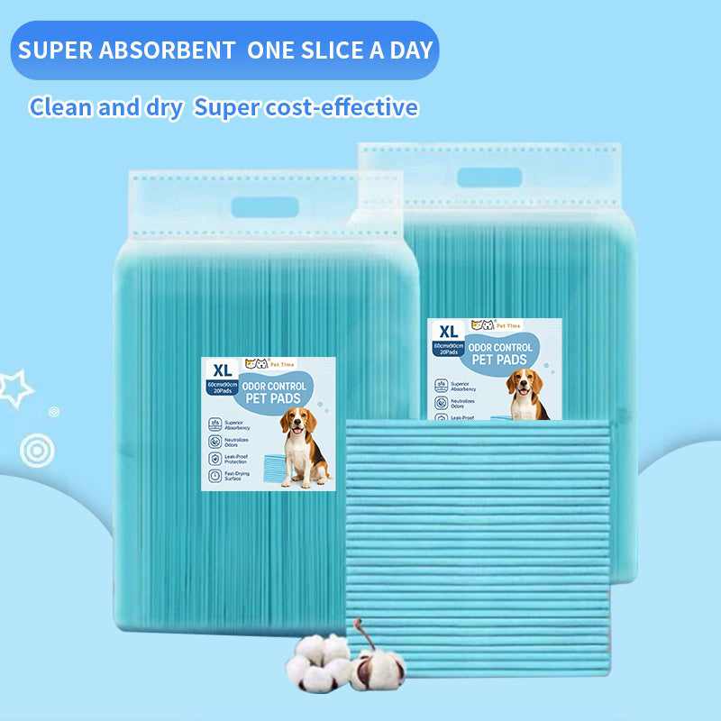 Disposable Pet Training Pads by PetTime, showing six absorbent training pads with waterproof backing for indoor puppy training.