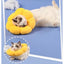 PetTime pet protective collar designed to prevent biting, shown in a close-up image of the anti-bite collar on a pet.
