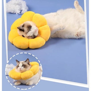 PetTime pet protective collar designed to prevent biting, shown in a close-up image of the anti-bite collar on a pet.