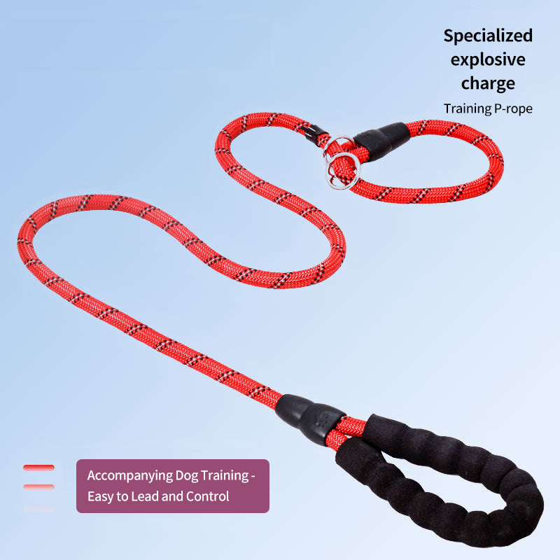 PetTime nylon elastic traction rope for dogs, showing the durable, flexible leash with handle and metal clip for secure walking.