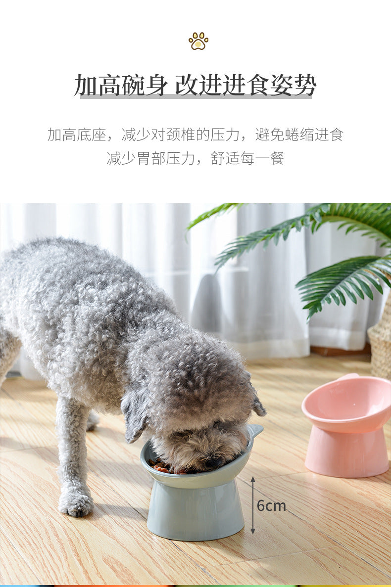 PetTime high feet cat and dog bowl with elevated design, stainless steel bowl, and sturdy frame for easy feeding.
