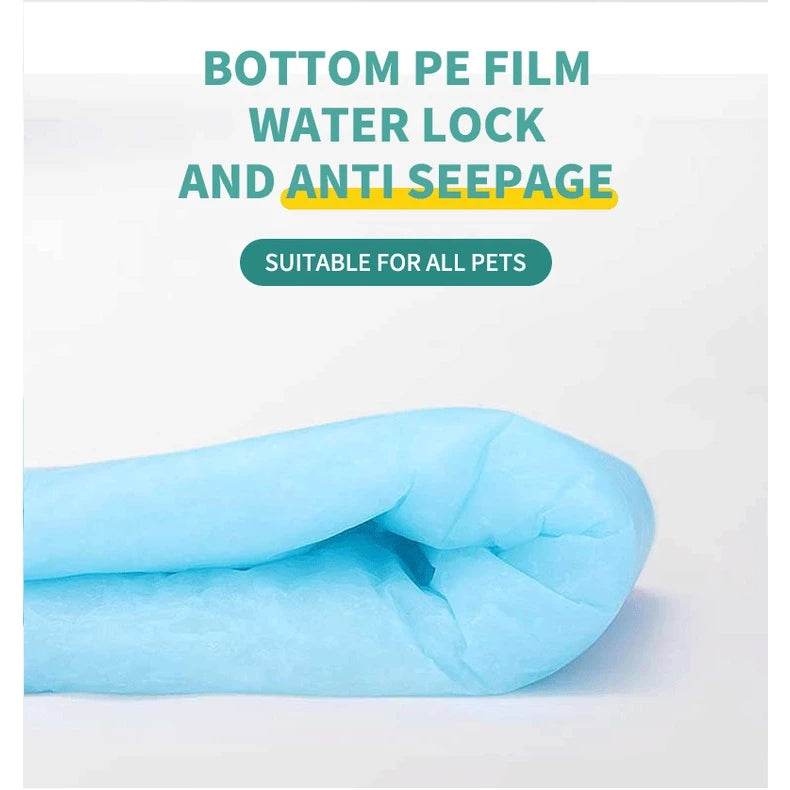 Disposable Pet Training Pads by PetTime, absorbent pads for house training dogs and puppies, with a leak-proof design.