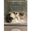 PetTime fully enclosed cat litter box with high sides and door for odor control and privacy, shown in a clean, modern design.