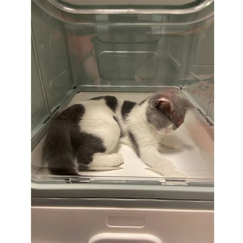 PetTime fully enclosed cat litter box with high sides and door for odor control and privacy, shown in a clean, modern design.