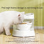 PetTime multifunctional automatic water dispenser for pets, showing a sleek device with water tray and adjustable flow controls.