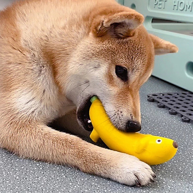 PetTime Qmonster Banana Pet Toy, soft and durable dog chew toy shaped like a banana, suitable for playful pets.