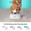 PetTime dog drinking bowl with stainless steel bowl and colorful plastic base, designed for easy water access.