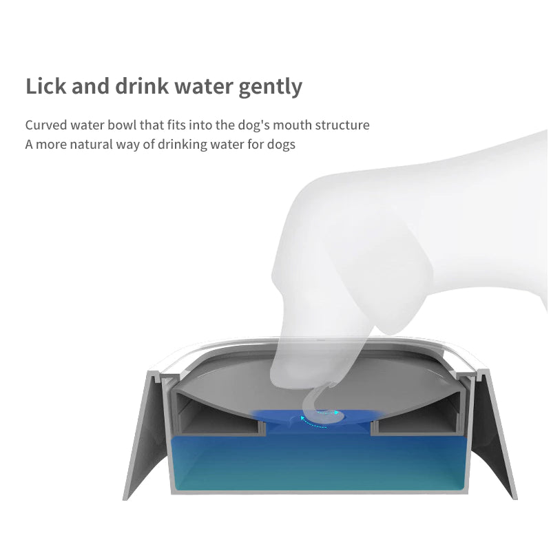 PetTime dog drinking bowl with stainless steel bowl and colorful plastic base, suitable for pets to drink comfortably.