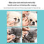 PetTime pet wipe cleaning tools for eye and ear dirt removal, showing the wipes and applicator in use for gentle cleaning.
