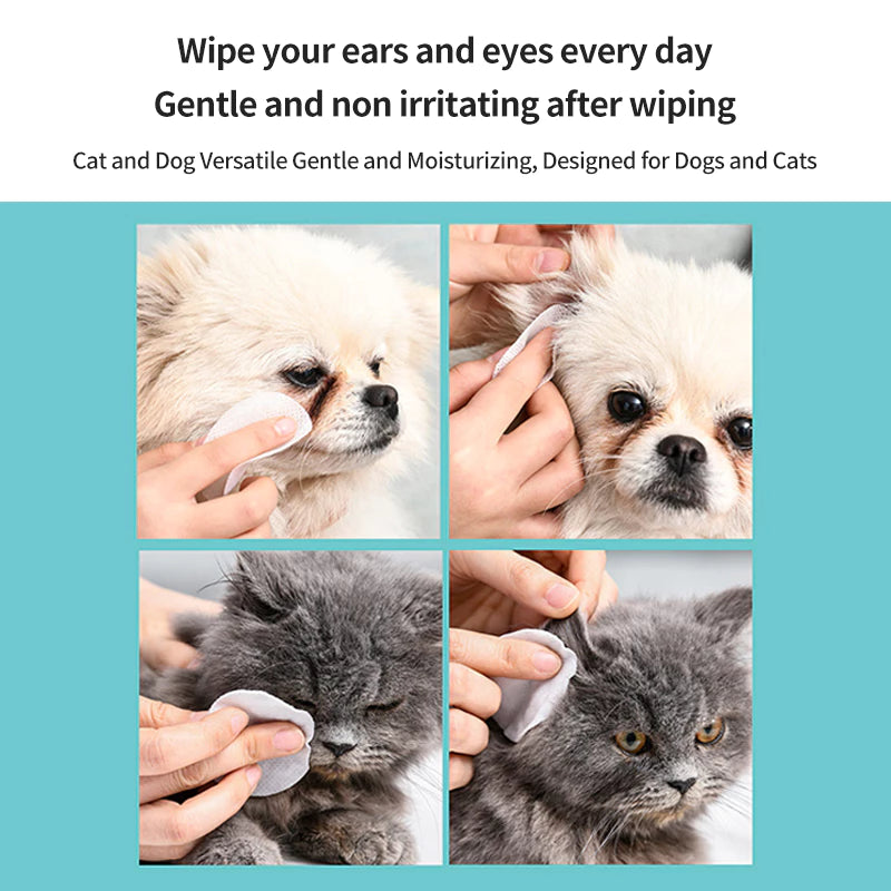 PetTime pet wipe cleaning tools for eye and ear dirt removal, showing the wipes and applicator in use for gentle cleaning.