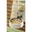 PetTime automatic hanging cage water dispenser for pets, with a clear water reservoir and easy attachment to a pet cage.