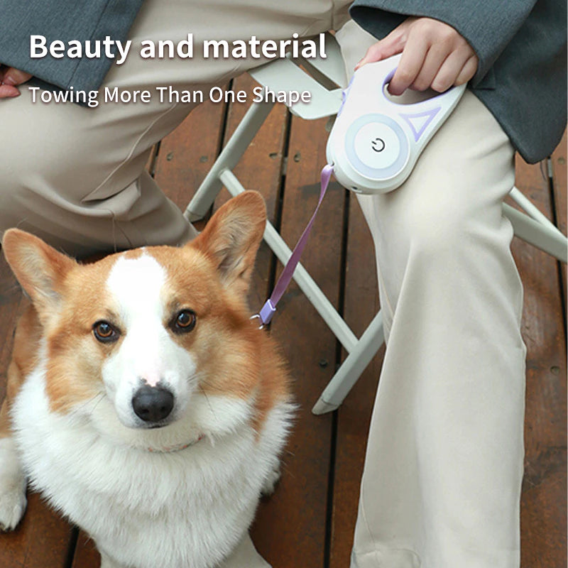 PetTime dog traction rope with automatic telescopic light, adjustable walking leash for outdoor walks and enhanced visibility.
