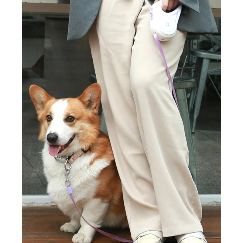 PetTime dog traction rope with automatic telescopic light, adjustable walking leash for safe outdoor walks