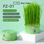 （Pet Time）Natural Soil-less Cat Grass Hairball Control Organic wheatgrass seeds cat treats