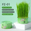 （Pet Time）Natural Soil-less Cat Grass Hairball Control Organic wheatgrass seeds cat treats