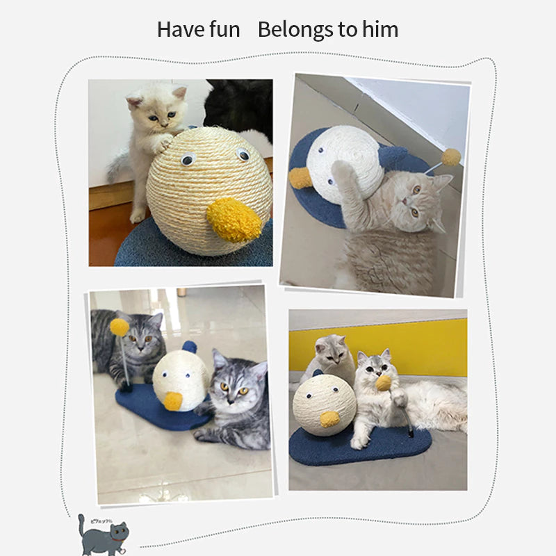 PetTime cat grabbing ball frame toy featuring a colorful ball and frame for interactive feline play and exercise.