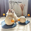 PetTime cat grabbing ball frame toy with colorful ball and frame for interactive play and entertainment.