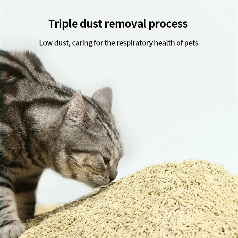PetTime Tofu Cat Litter 1.8kg with deodorising and low dust formula, shown in a cat house setting.