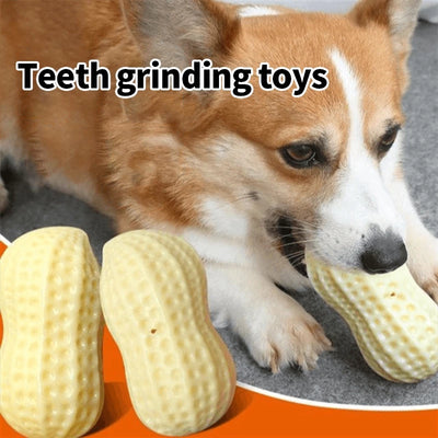 PetTime Puppy Peanut Chew Toy with textured rubber surface for dogs to chew and play, featuring a fun peanut shape.